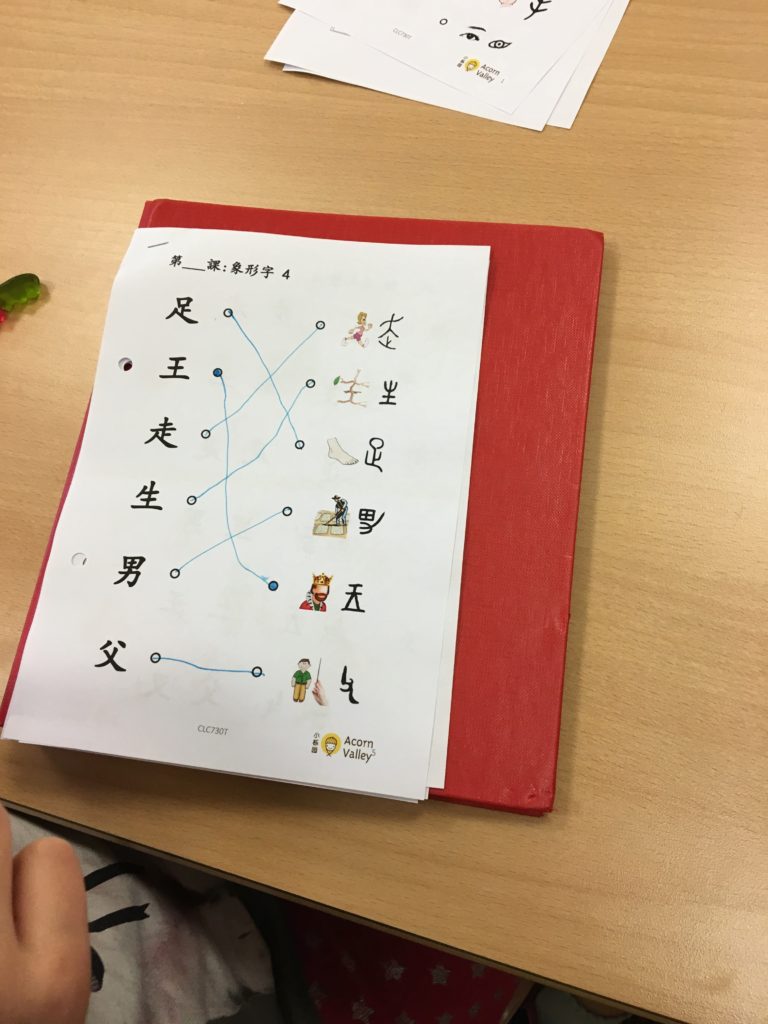 自编中文作业 - Self designed worksheet