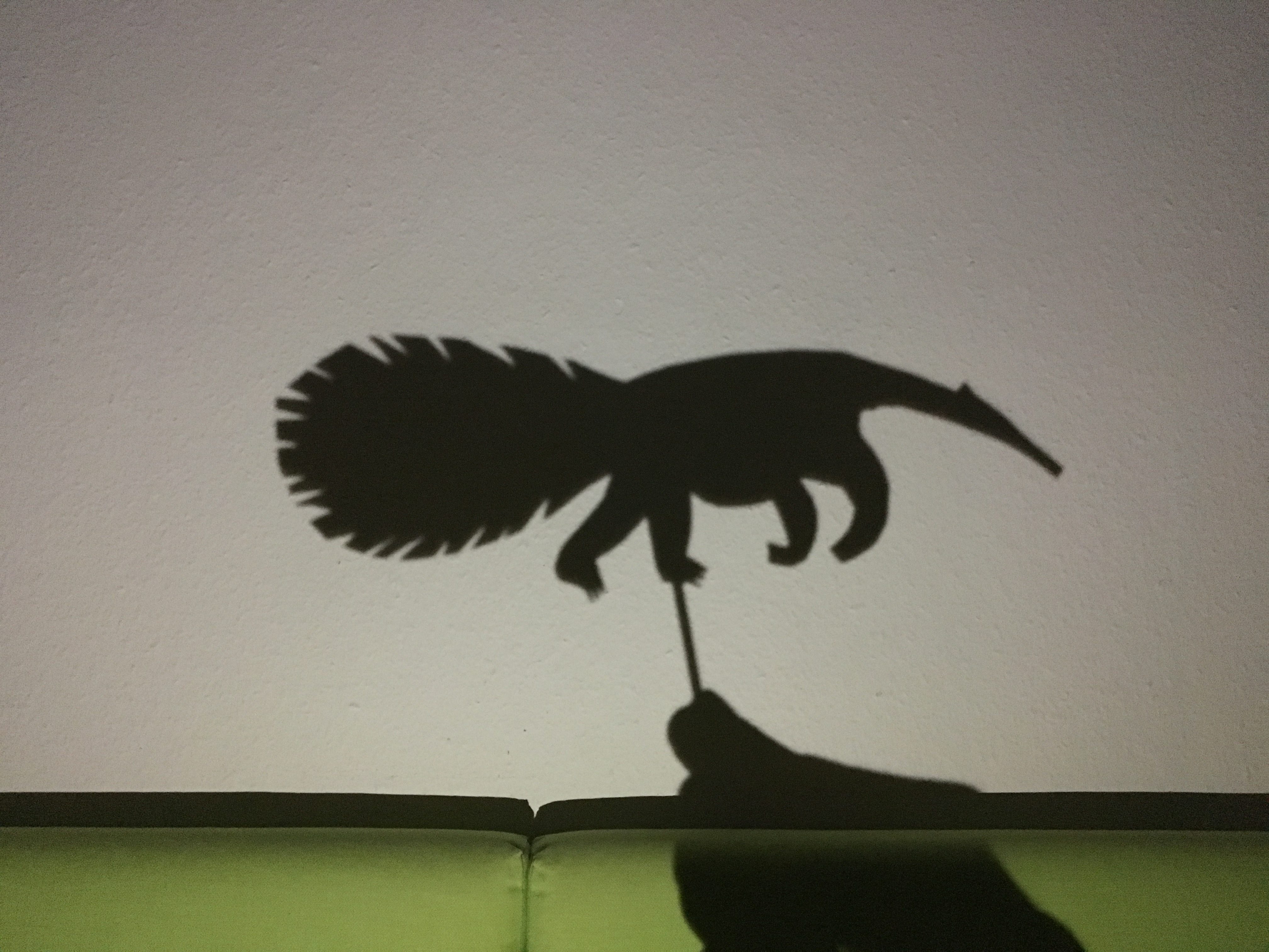Shadow play - anteater