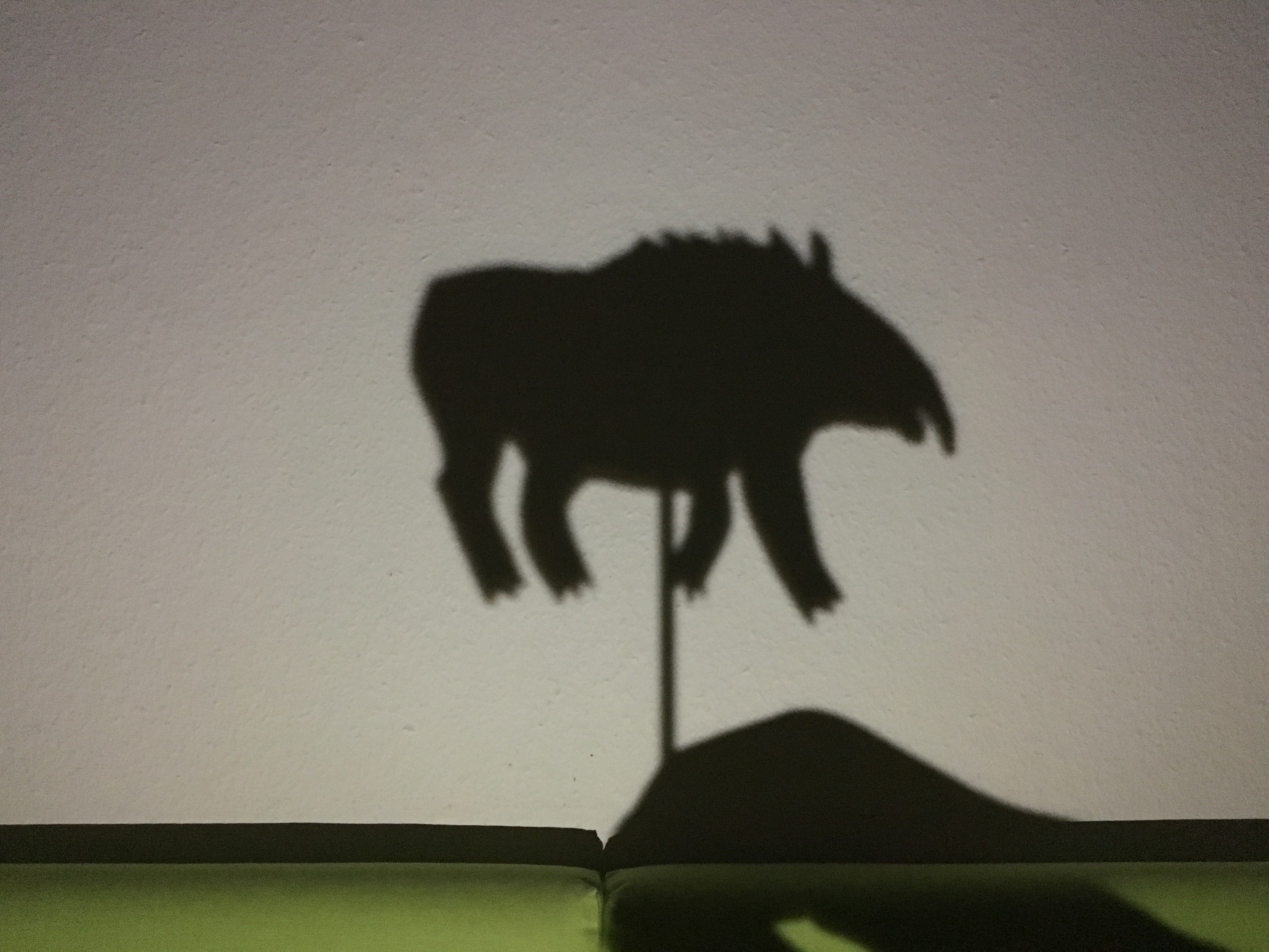 Shadow play - Tapir